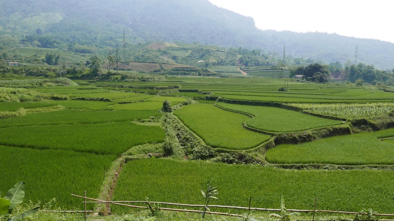 Thac Ba Family Homestay Ho To Ngoại thất bức ảnh