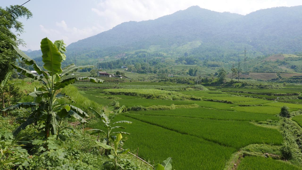 Thac Ba Family Homestay Ho To Ngoại thất bức ảnh