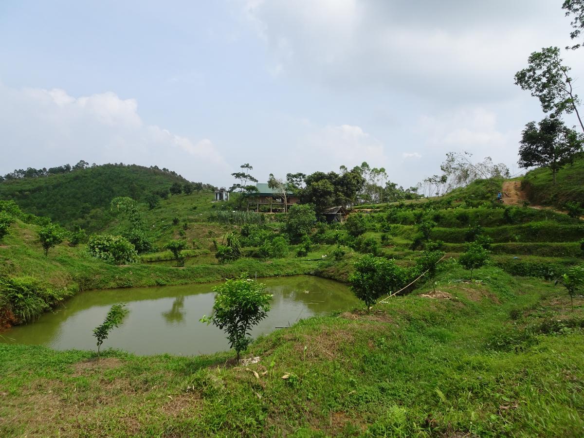 Thac Ba Family Homestay Ho To Ngoại thất bức ảnh