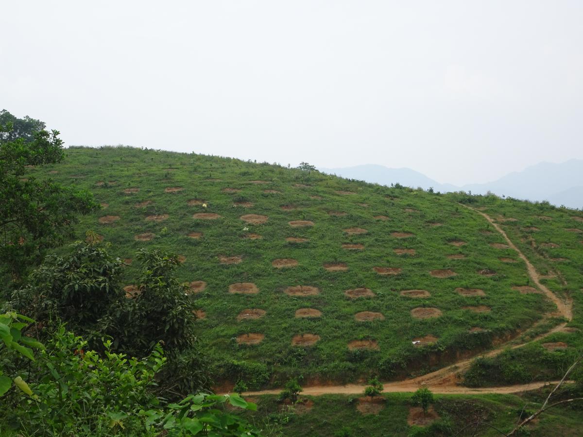Thac Ba Family Homestay Ho To Ngoại thất bức ảnh